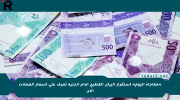 «مفاجأة اليوم» استقرار الريال القطري أمام الجنيه تعرف على أسعار العملات الآن